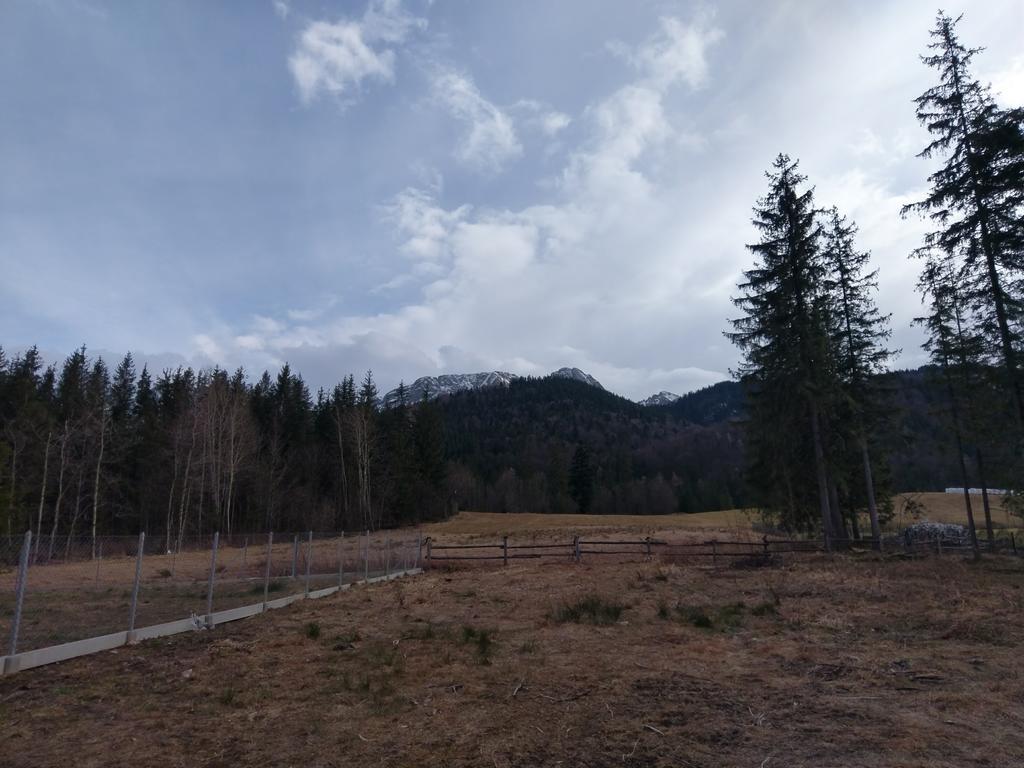 Apartamencik Z Widokiem Na Giewont Zakopane Exteriör bild